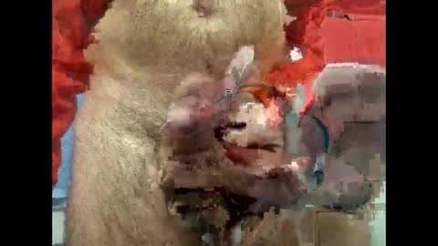 flippe64 online show from 02/05/25, 10:08