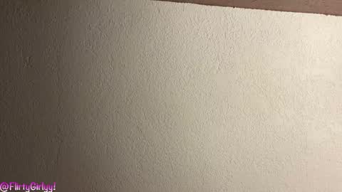 Snapshot of flirtygirlyy chatting on 03/08/26, 02:04 Ive Retired From Camming online show from 03/08/26, 02:04