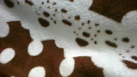 Snapshot of flora48230522373 chatting on 06/21/26, 05:21 flora48230522373 online show from 06/21/26, 05:21