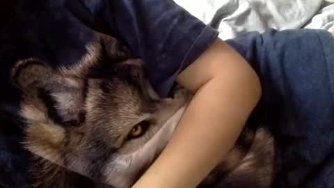 Snapshot of floraexploration chatting on 12/22/24, 11:22 floraexploration online show from 12/22/24, 11:22