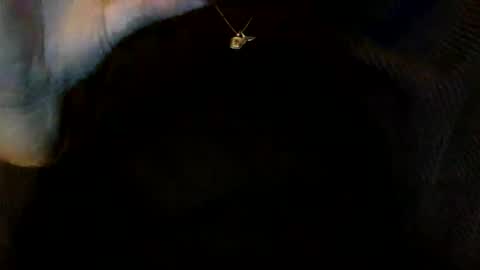 Snapshot of floraexploration chatting on 12/23/24, 06:27 floraexploration online show from 12/23/24, 06:27