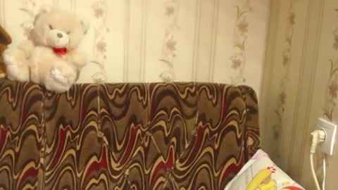 say meow and send tip  online show from 02/27/25, 08:50