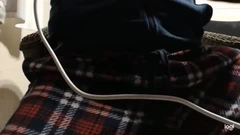 Snapshot of flowerpower622 chatting on 01/06/26, 10:23 flowerpower622 online show from 01/06/26, 10:23