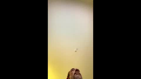 ANKI online show from 11/10/25, 05:06