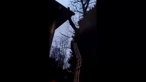 Snapshot of flyyguy69 chatting on 12/18/25, 12:11 flyyguy69 online show from 12/18/25, 12:11