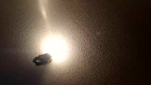 Snapshot of flyyguy69 chatting on 01/11/26, 01:38 flyyguy69 online show from 01/11/26, 01:38