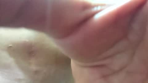 Snapshot of follador6543 chatting on 06/01/26, 12:56 follador6543 online show from 06/01/26, 12:56