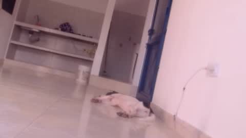 emely and felix online show from 12/27/24, 10:05