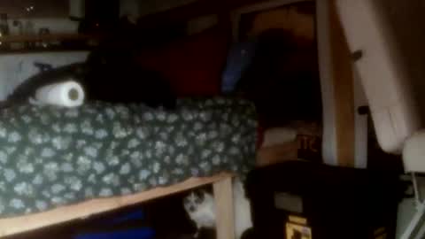 Snapshot of forestnymphpdx chatting on 11/14/25, 09:30 forestnymphpdx online show from 11/14/25, 09:30