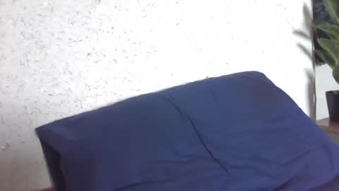 fox_red_lady7 online show from 03/08/25, 08:11