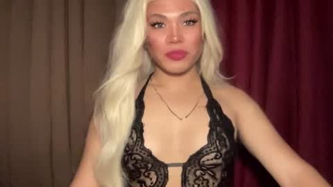 KITTY online show from 03/28/26, 07:19