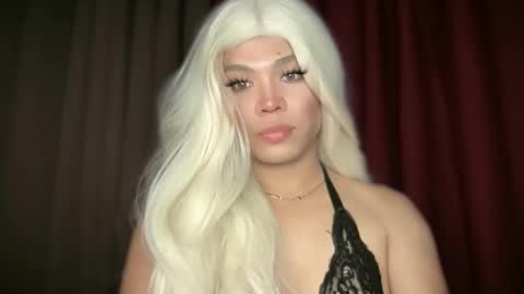 KITTY online show from 04/12/26, 06:51