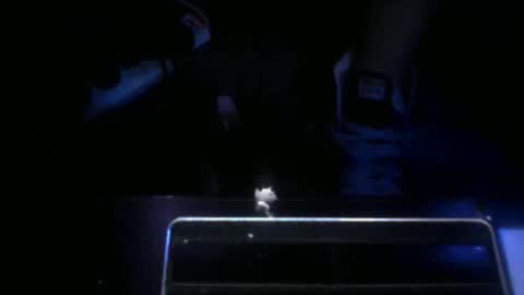 foxx2021 online show from 10/25/25, 12:29