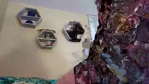 Snapshot of foxyanjel chatting on 10/27/25, 04:00 foxyanjel online show from 10/27/25, 04:00