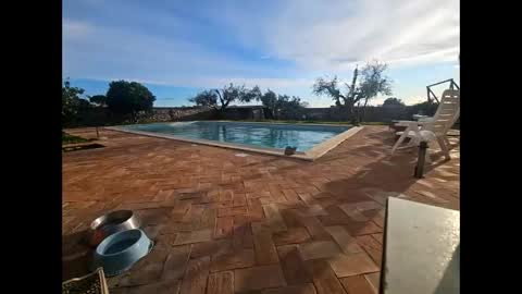 fra  71 online show from 03/27/26, 04:29