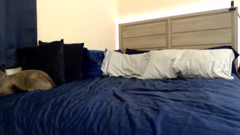 Snapshot of fragilemasochist chatting on 12/05/24, 03:39 Angel online show from 12/05/24, 03:39