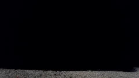 Snapshot of francescafey chatting on 03/17/26, 06:50 francescafey online show from 03/17/26, 06:50