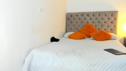 frank online show from 01/15/25, 02:27