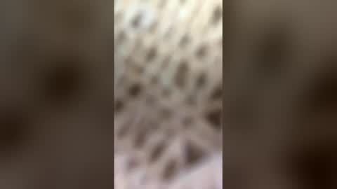 fransicus1988 online show from 03/19/26, 09:46