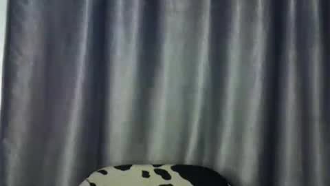 Snapshot of freaky_brula chatting on 07/02/26, 02:00 freaky brula online show from 07/02/26, 02:00