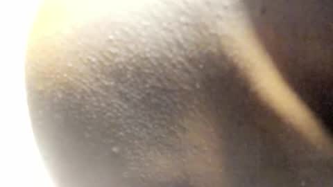 Kandy online show from 03/14/26, 08:09