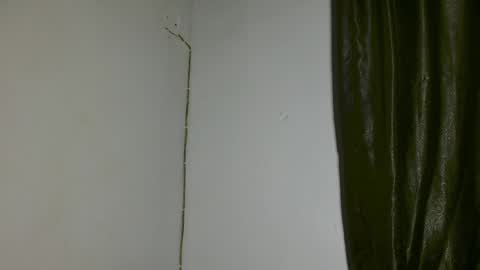 luna online show from 04/03/26, 03:26