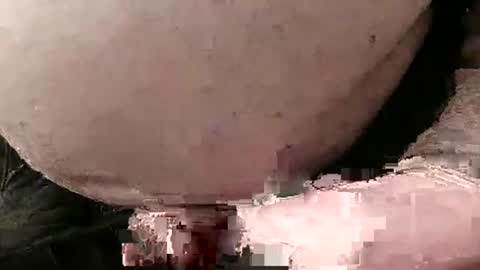 David Fredal online show from 01/28/25, 05:03