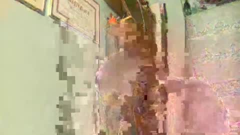 Snapshot of freddy3399 chatting on 12/17/24, 02:44 freddy3399 online show from 12/17/24, 02:44