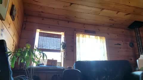 Snapshot of frederickory chatting on 03/01/26, 08:22 Anderson fz online show from 03/01/26, 08:22