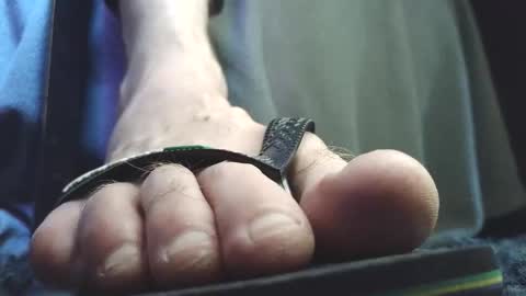 Greedy Fred online show from 02/05/26, 02:54