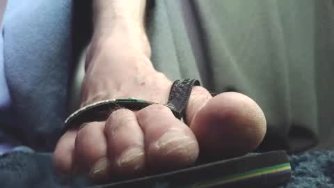 Greedy Fred online show from 02/18/26, 02:13