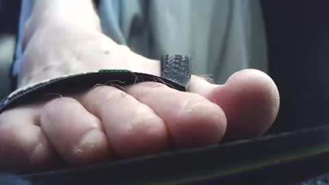 Snapshot of fredthetom12 chatting on 03/10/26, 03:06 Greedy Fred online show from 03/10/26, 03:06