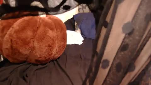 free4haul online show from 09/15/25, 12:10