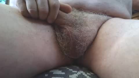 Snapshot of free_amos chatting on 03/07/26, 11:46 free_amos online show from 03/07/26, 11:46