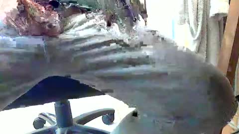 Snapshot of frenchpapalover chatting on 02/28/25, 01:14 frenchpapalover online show from 02/28/25, 01:14