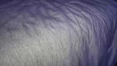 Snapshot of freythegemini chatting on 01/07/25, 03:46 FreyaTheGemini online show from 01/07/25, 03:46