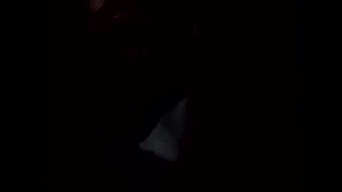 Frickish online show from 01/22/25, 11:21