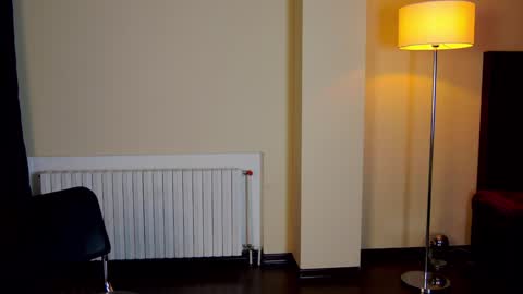 Snapshot of friend123211 chatting on 02/02/25, 03:32 Viktor online show from 02/02/25, 03:32