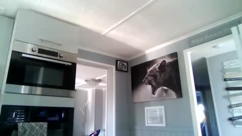 bob online show from 12/02/25, 10:53