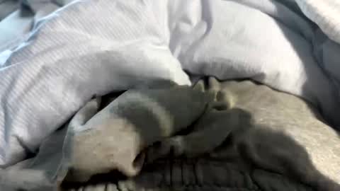 Snapshot of frotlover2 chatting on 02/08/25, 02:16 frotlover2 online show from 02/08/25, 02:16