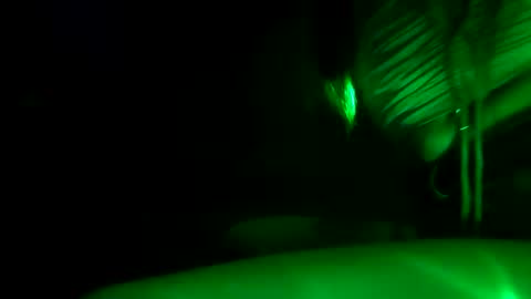 Snapshot of fu338208 chatting on 10/30/25, 12:17 fu338208 online show from 10/30/25, 12:17