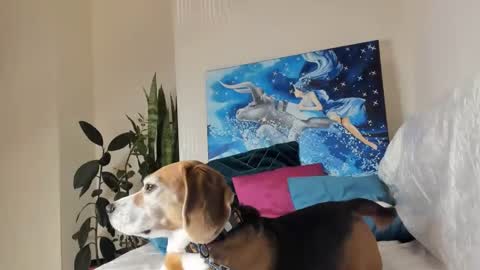 Snapshot of fuckingfairy chatting on 01/10/25, 01:21 Vicky online show from 01/10/25, 01:21