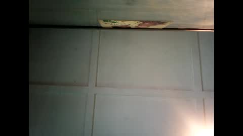 Warwick online show from 12/02/24, 12:52