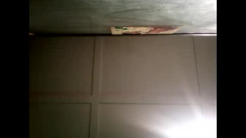 Warwick online show from 12/02/24, 10:28