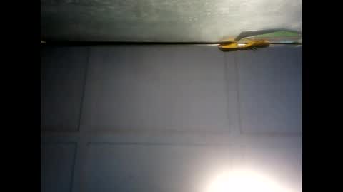 Warwick online show from 12/03/24, 07:21