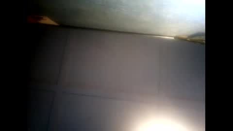 Warwick online show from 12/05/24, 07:38