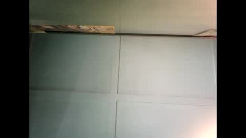 Warwick online show from 12/06/24, 12:02