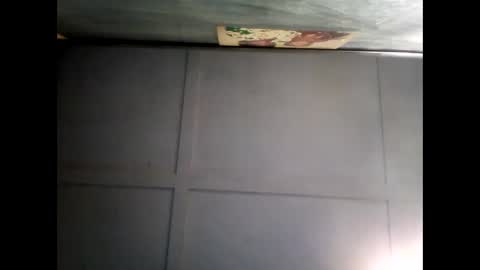 Warwick online show from 12/07/24, 08:11