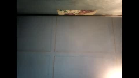 Warwick online show from 12/07/24, 09:55