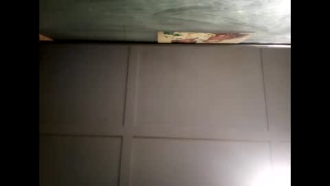 Warwick online show from 12/08/24, 08:30